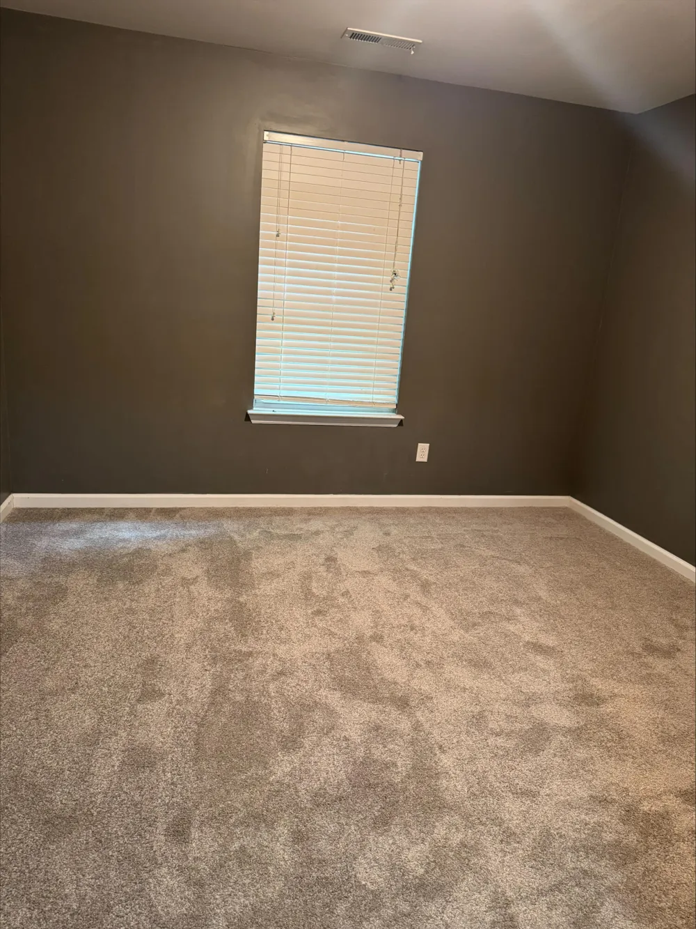 1699 Short Leaf Lane Soddy Daisy, TN 37379