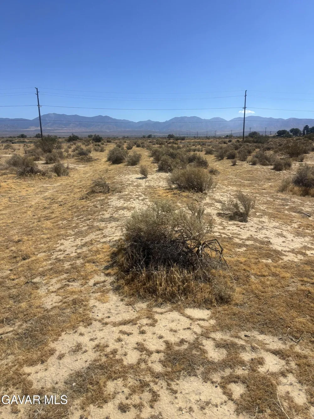 172 E Palmdale Boulevard Palmdale, CA 93550