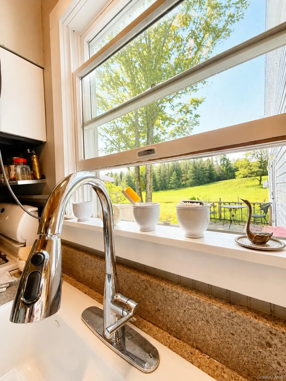 17 Gold Dan Road #52 Swan Lake, NY 12783