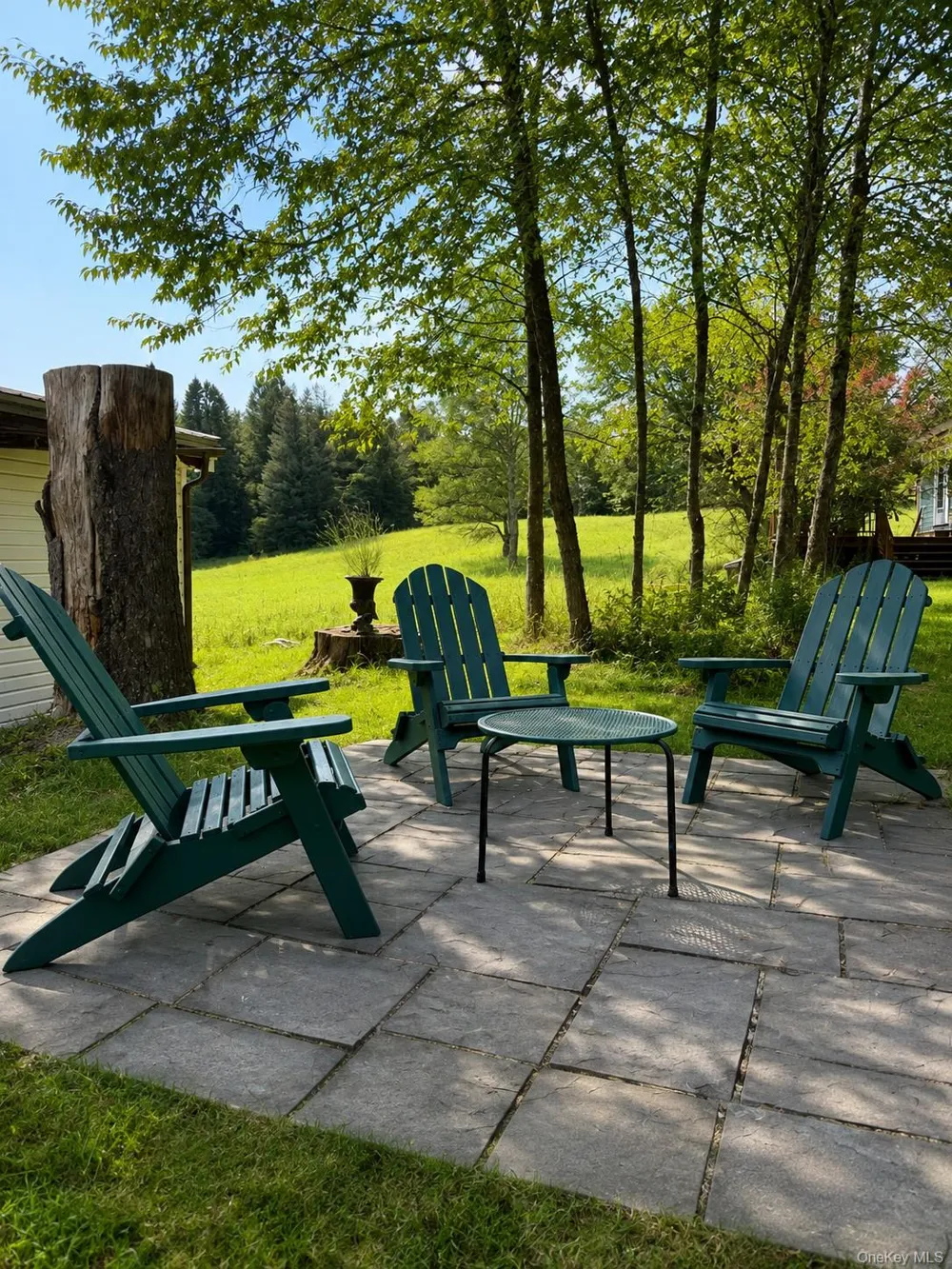 17 Gold Dan Road #52 Swan Lake, NY 12783