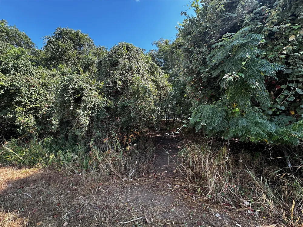 392 Riverside Drive Bastrop, TX 78602