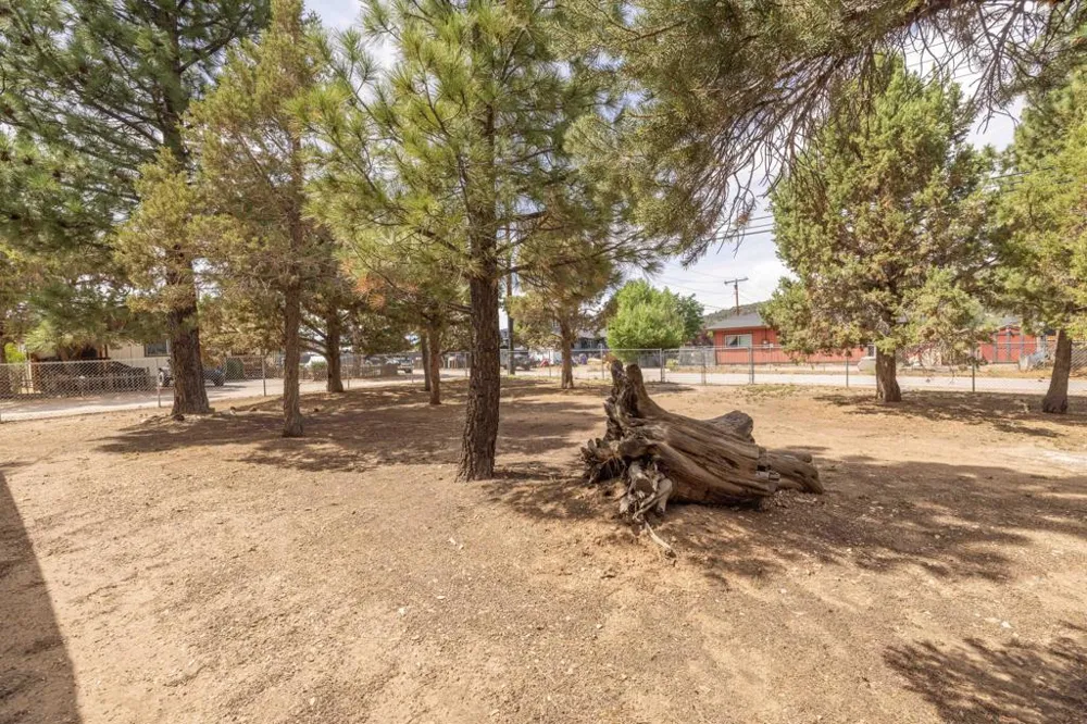 908 Spruce Lane Big Bear, CA 92314