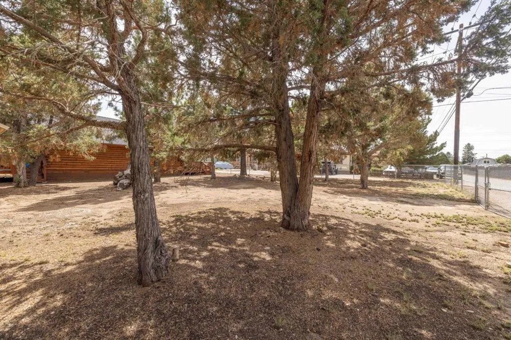 908 Spruce Lane Big Bear, CA 92314