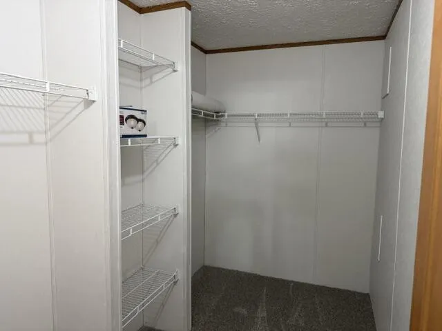 2930 Birch Landing E Drive Lakeview, MI 48850