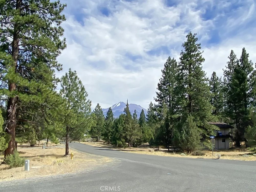 16843 Fawnskin Pl Weed, CA 96094