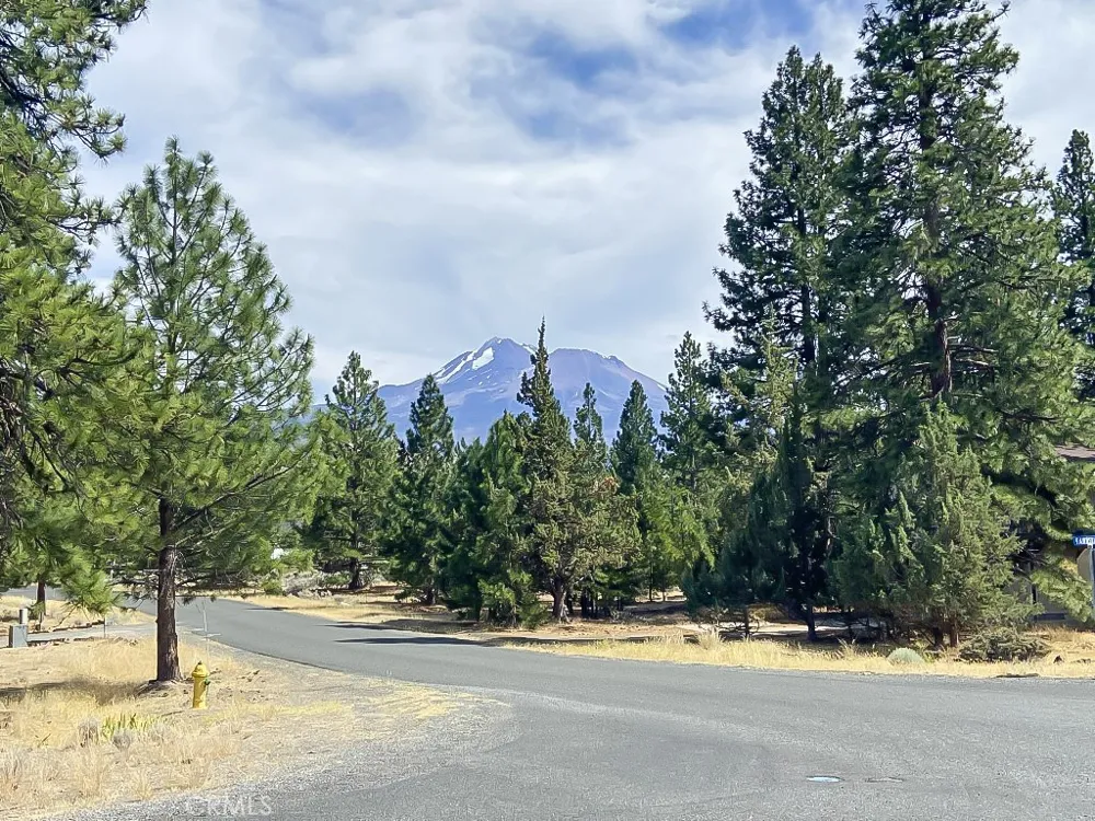 16843 Fawnskin Pl Weed, CA 96094