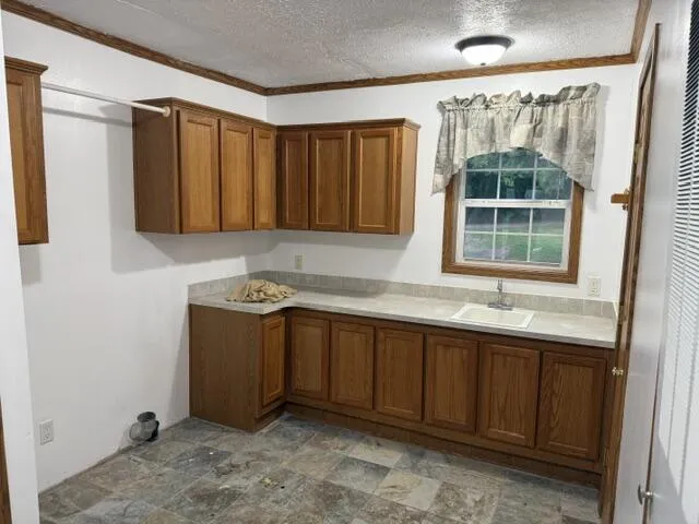 2930 Birch Landing E Drive Pine Township, MI 48850