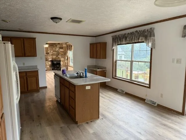 2930 Birch Landing E Drive Pine Township, MI 48850