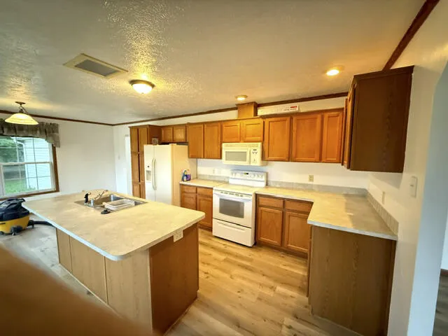 2930 Birch Landing E Drive Pine Township, MI 48850