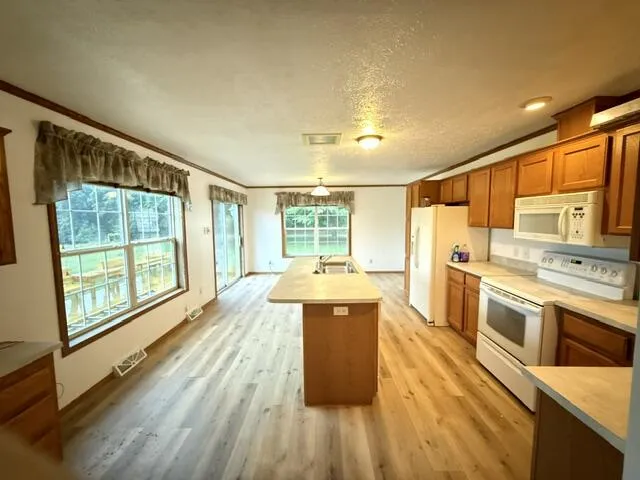 2930 Birch Landing E Drive Pine Township, MI 48850