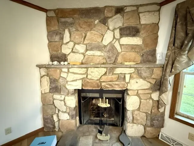 2930 Birch Landing E Drive Pine Township, MI 48850