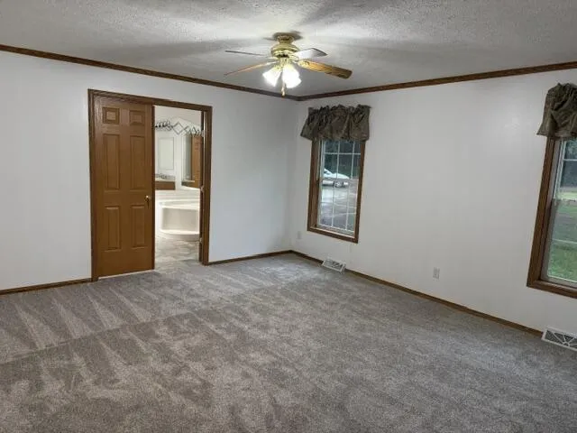 2930 Birch Landing E Drive Pine Township, MI 48850