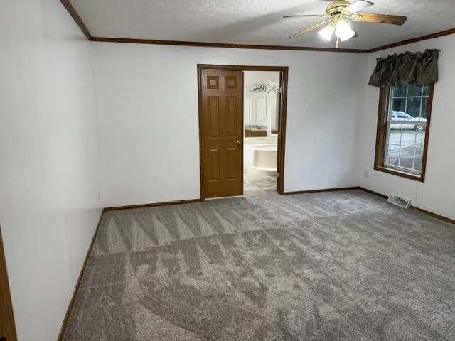 2930 Birch Landing E Drive Pine Township, MI 48850