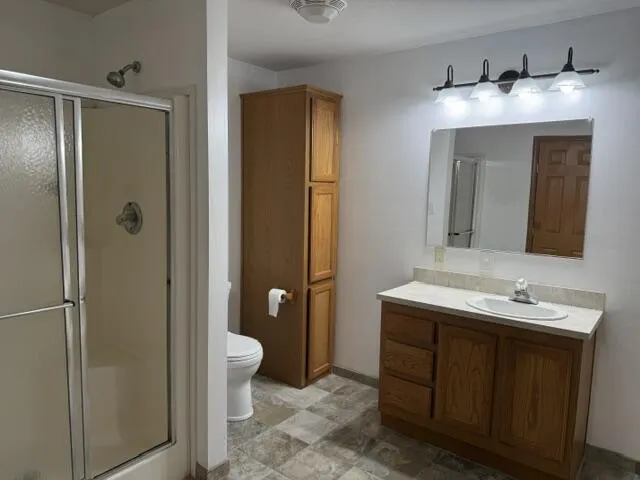 2930 Birch Landing E Drive Pine Township, MI 48850
