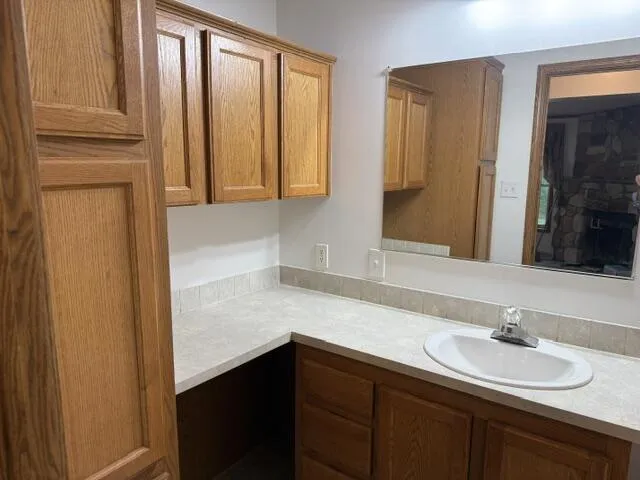 2930 Birch Landing E Drive Pine Township, MI 48850