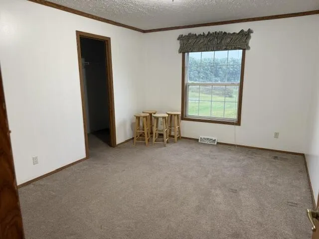 2930 Birch Landing E Drive Pine Township, MI 48850