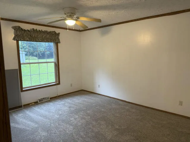 2930 Birch Landing E Drive Pine Township, MI 48850