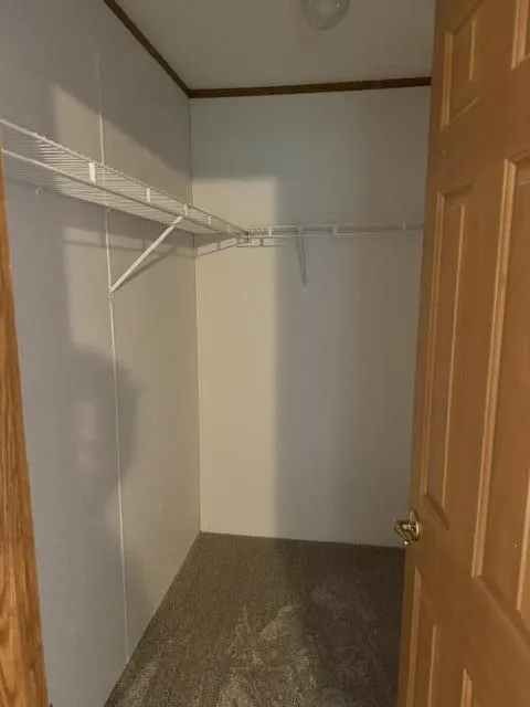 2930 Birch Landing E Drive Pine Township, MI 48850