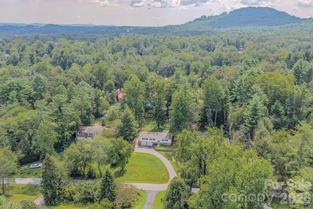 38 Ferenvilla Drive Hendersonville, NC 28791
