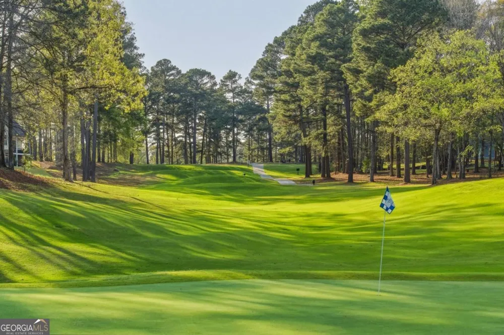 1040 Spyglass Hill Greensboro, GA 30642