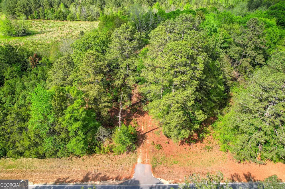 6995 Cobbham RD Appling, GA 30802