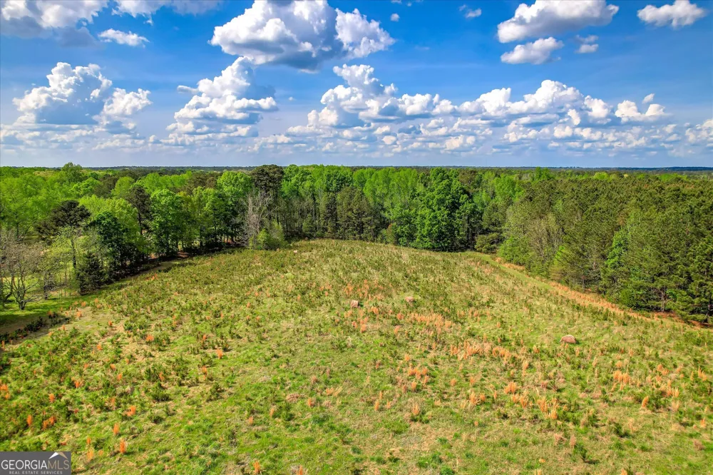 6995 Cobbham RD Appling, GA 30802