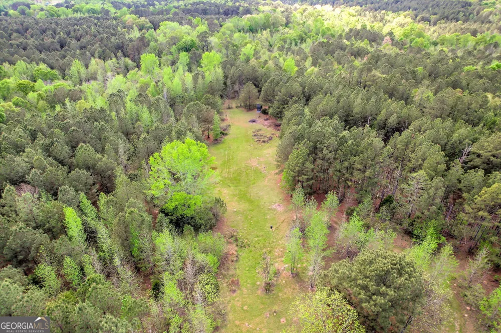 6995 Cobbham RD Appling, GA 30802