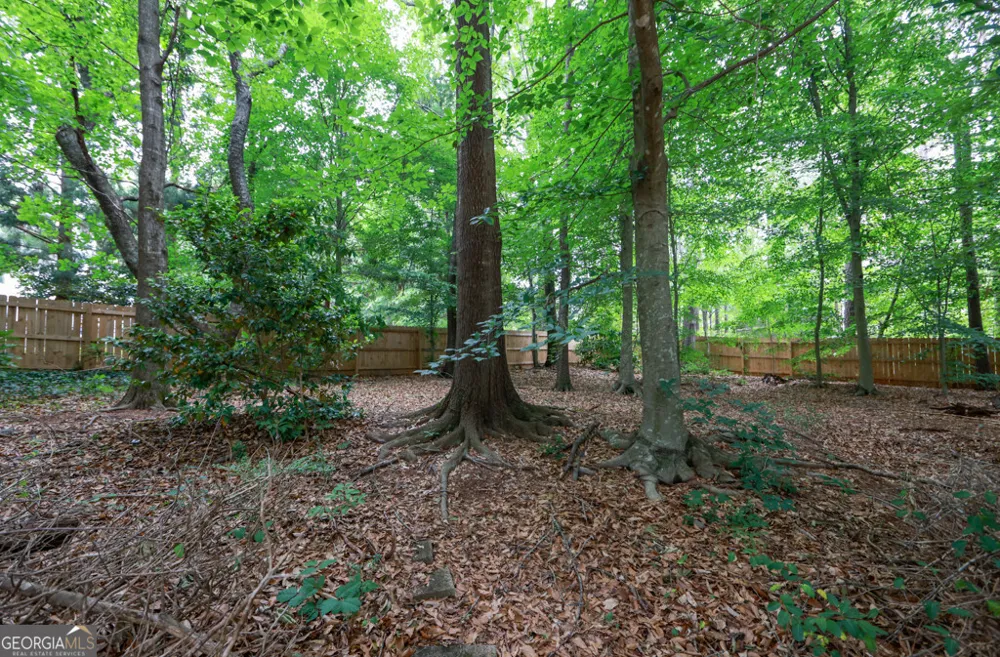 210 Chatfield PL Roswell, GA 30075