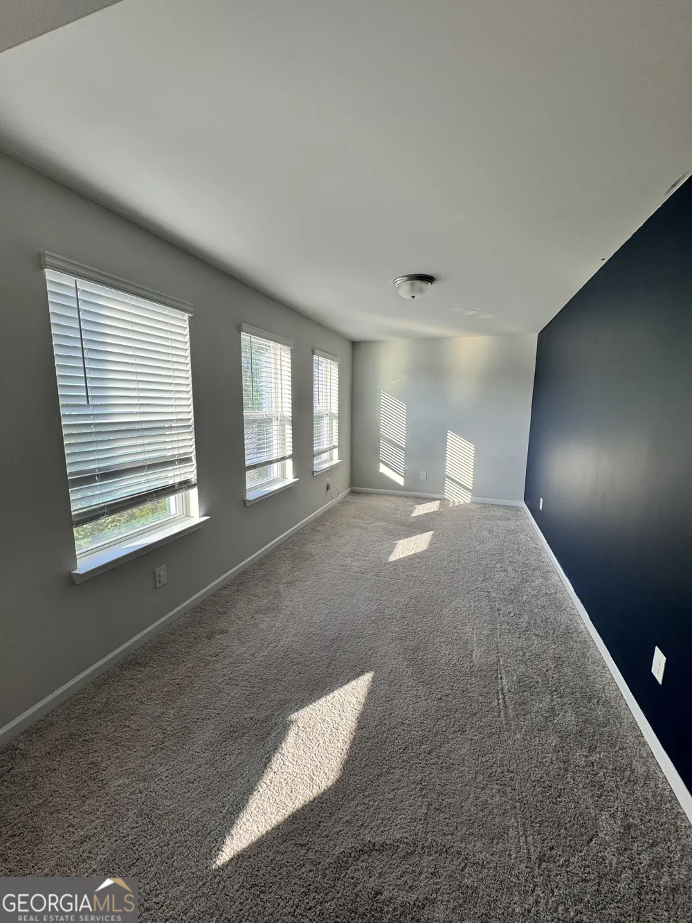 115 Camdale CT McDonough, GA 30252