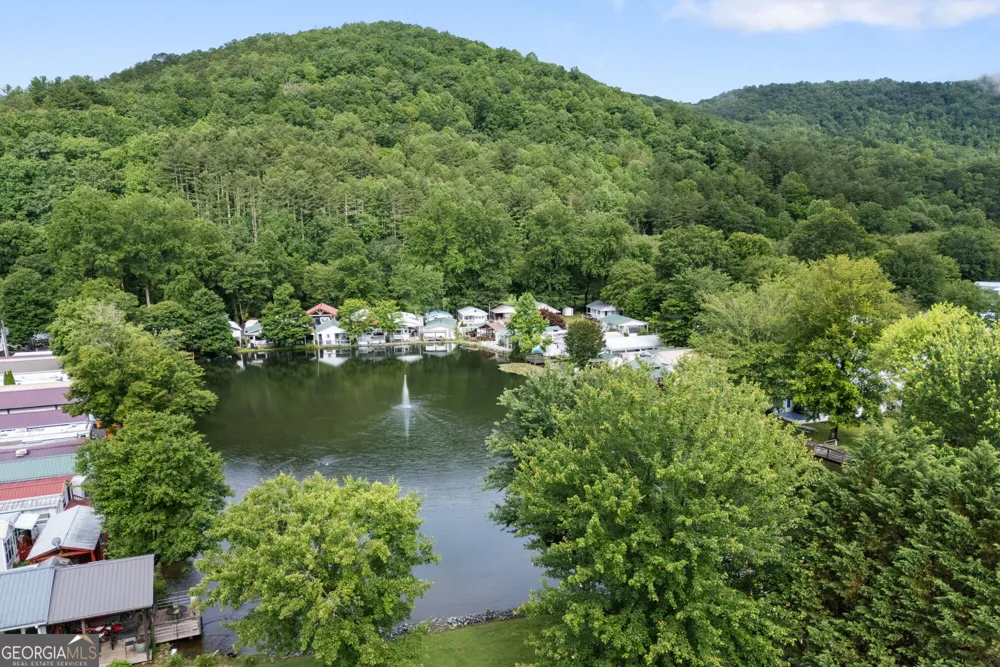 4166 Riverbank RUN Hiawassee, GA 30546