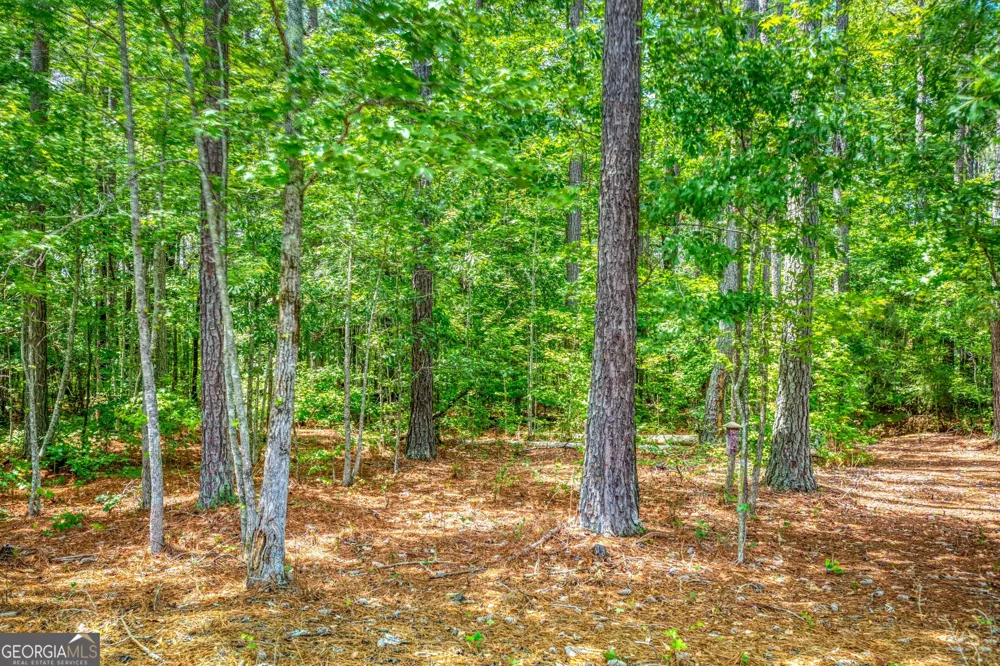 2529 Shockley Springs DR Monroe, GA 30656