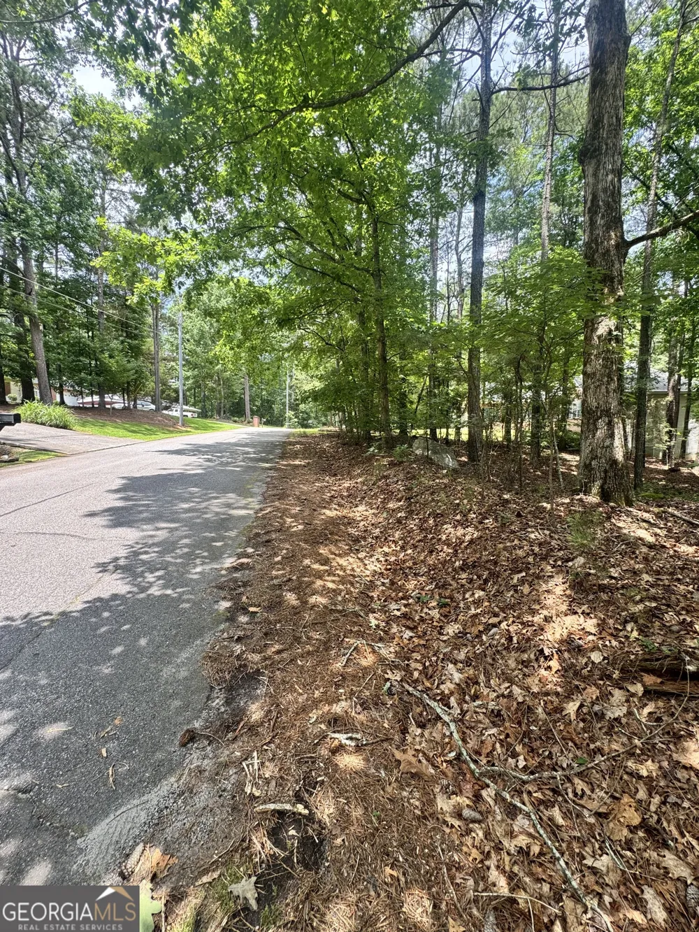 6031 Belle Meade CT Villa Rica, GA 30180