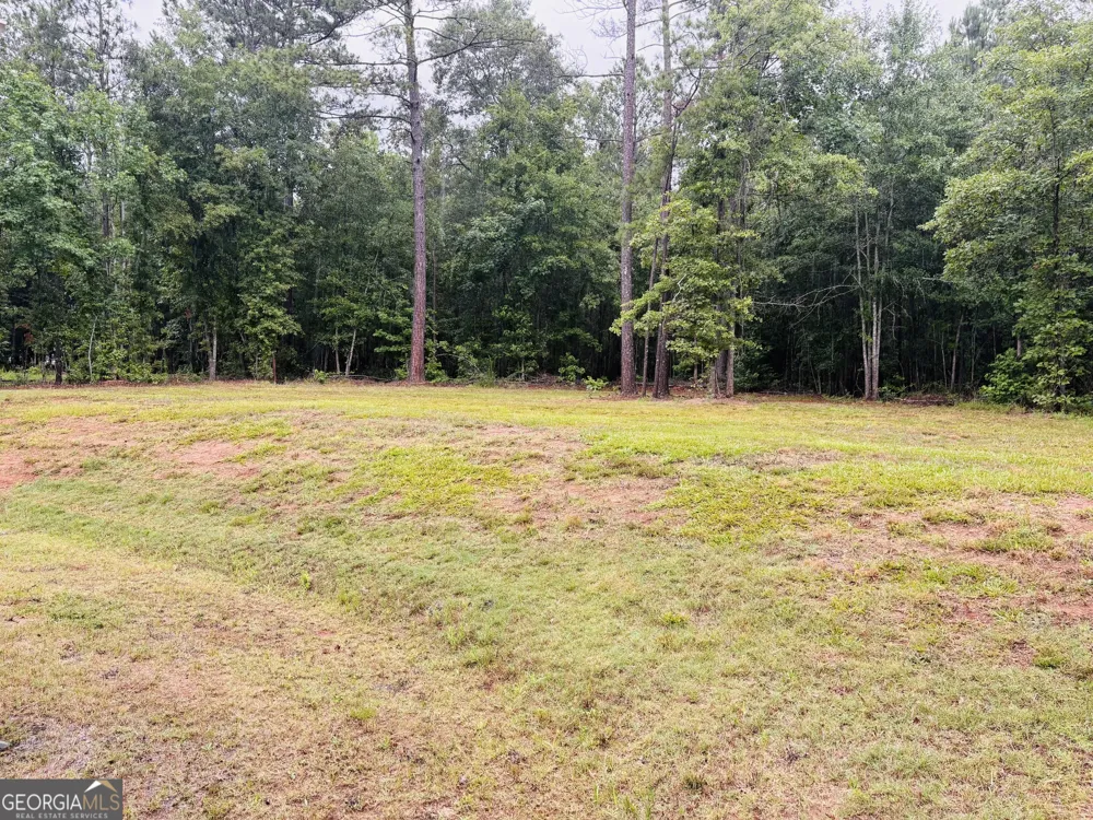 196 Chapman RD Macon, GA 31211