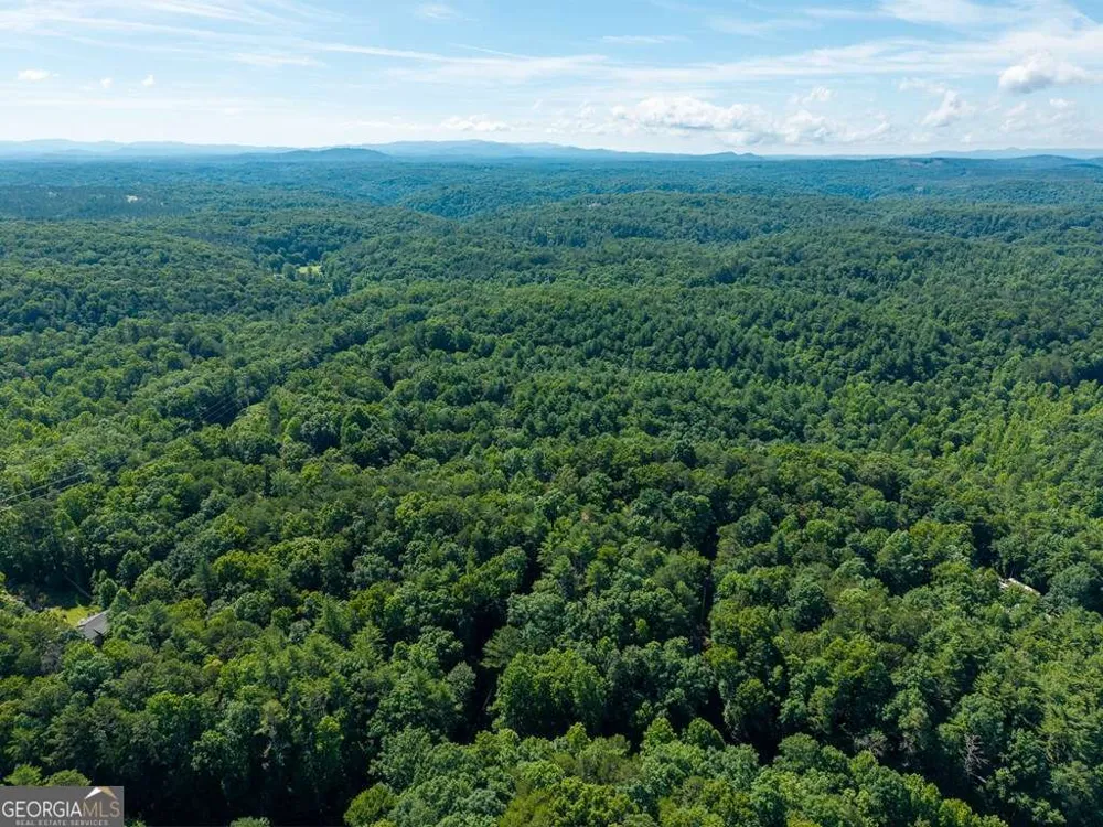 955 Lower Tails Creek RD Ellijay, GA 30540