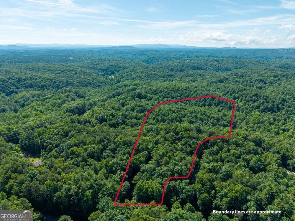 955 Lower Tails Creek RD Ellijay, GA 30540
