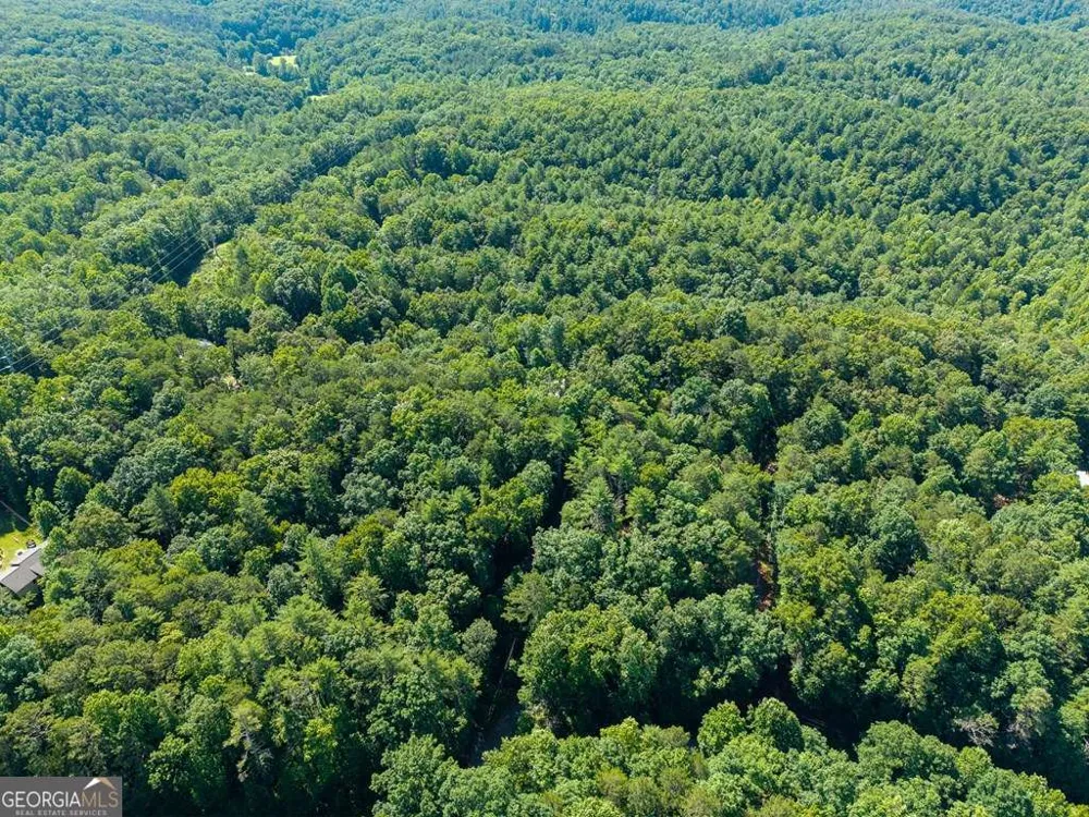 955 Lower Tails Creek RD Ellijay, GA 30540