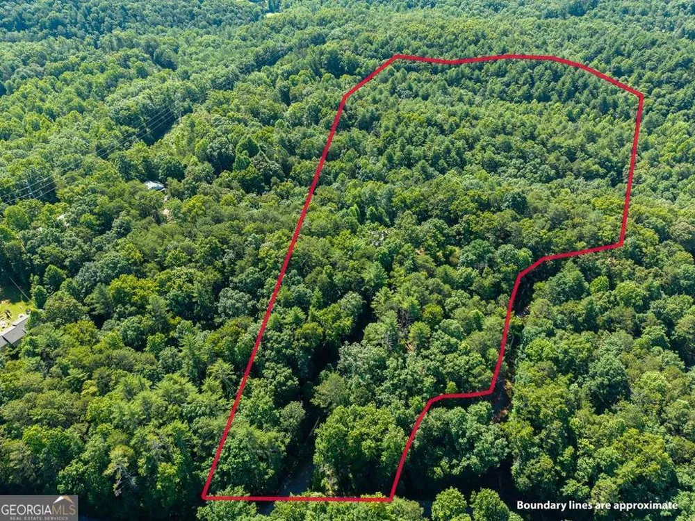 955 Lower Tails Creek RD Ellijay, GA 30540
