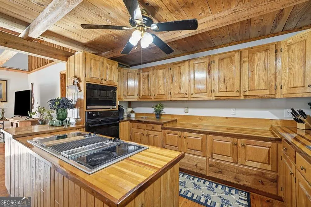 955 Lower Tails Creek RD Ellijay, GA 30540