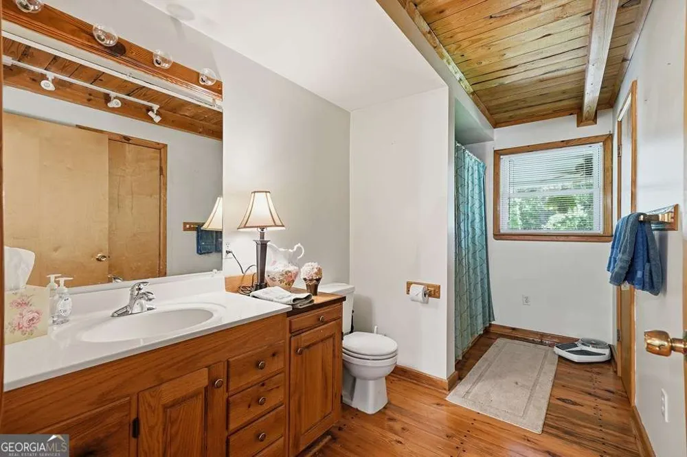 955 Lower Tails Creek RD Ellijay, GA 30540