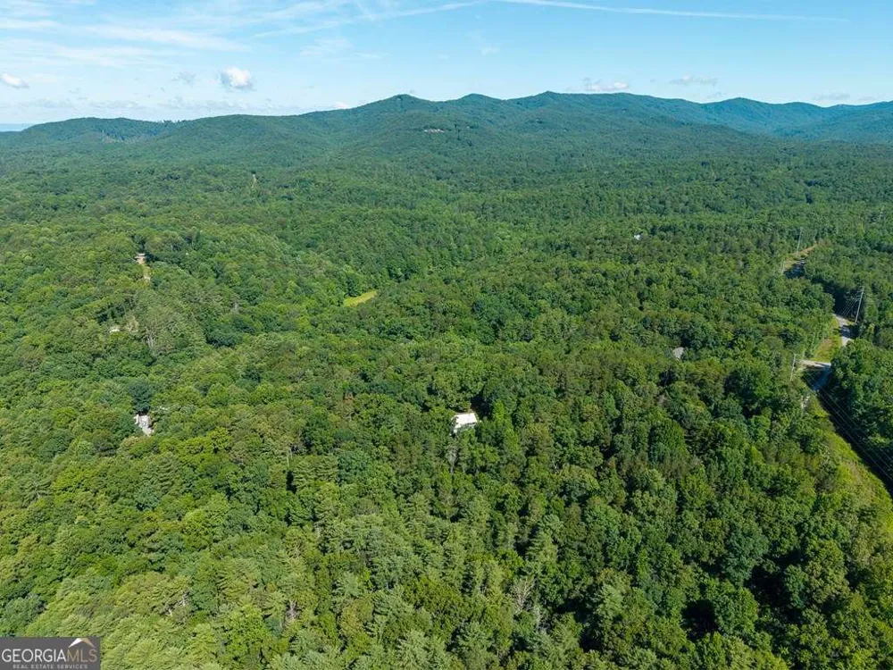 955 Lower Tails Creek RD Ellijay, GA 30540