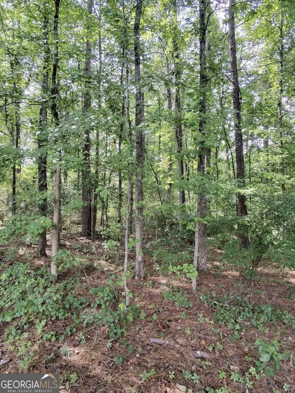 0 Post RD Winston, GA 30187