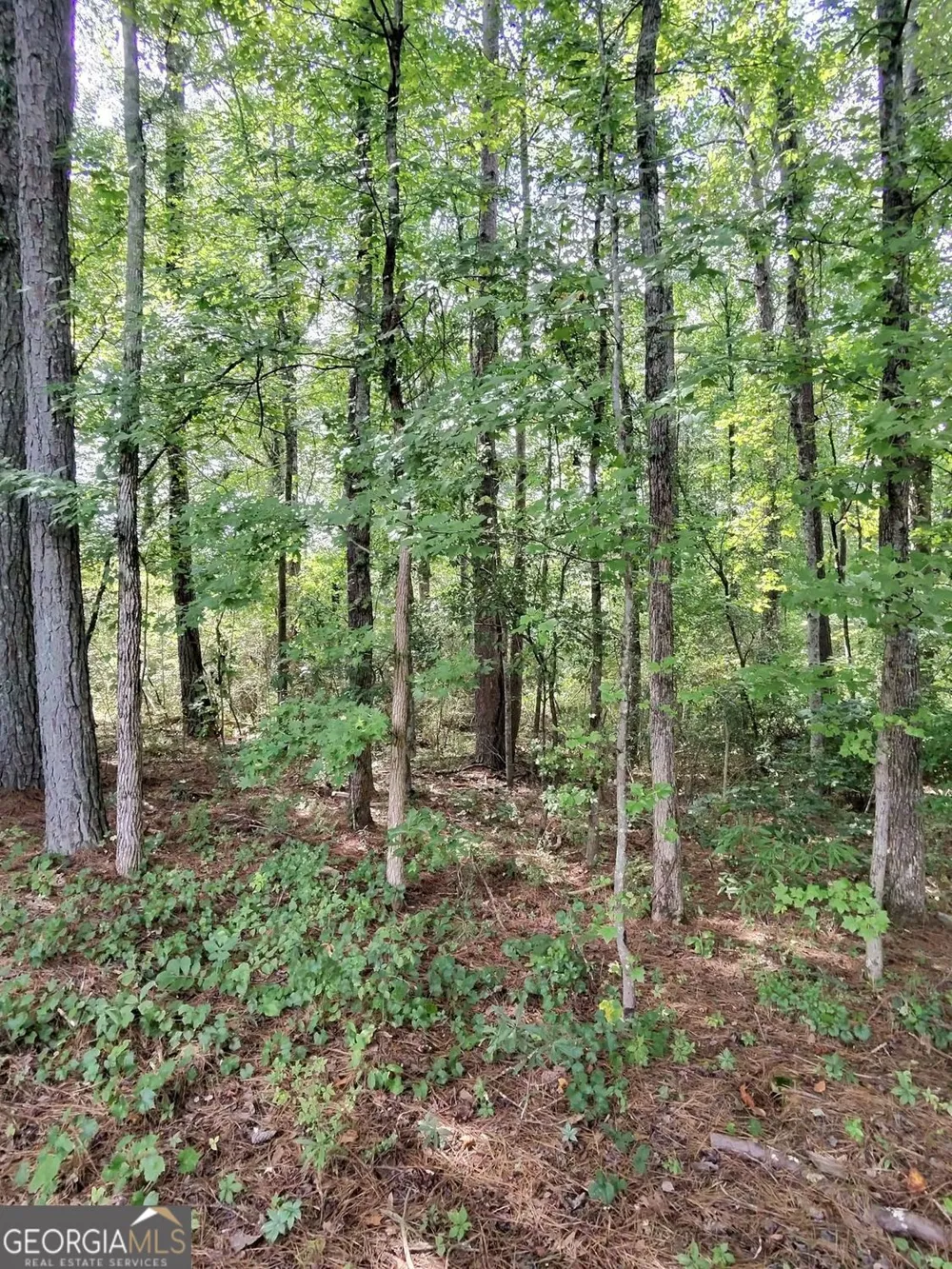 0 Post RD Winston, GA 30187