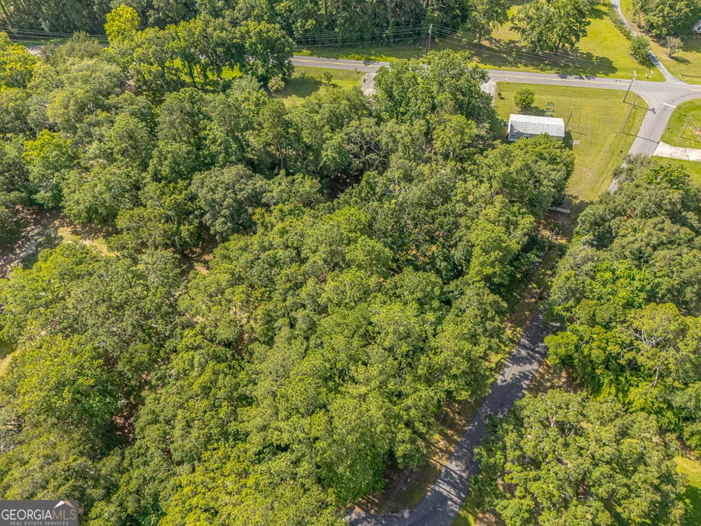 173 FISH HALL RD Brunswick, GA 31523