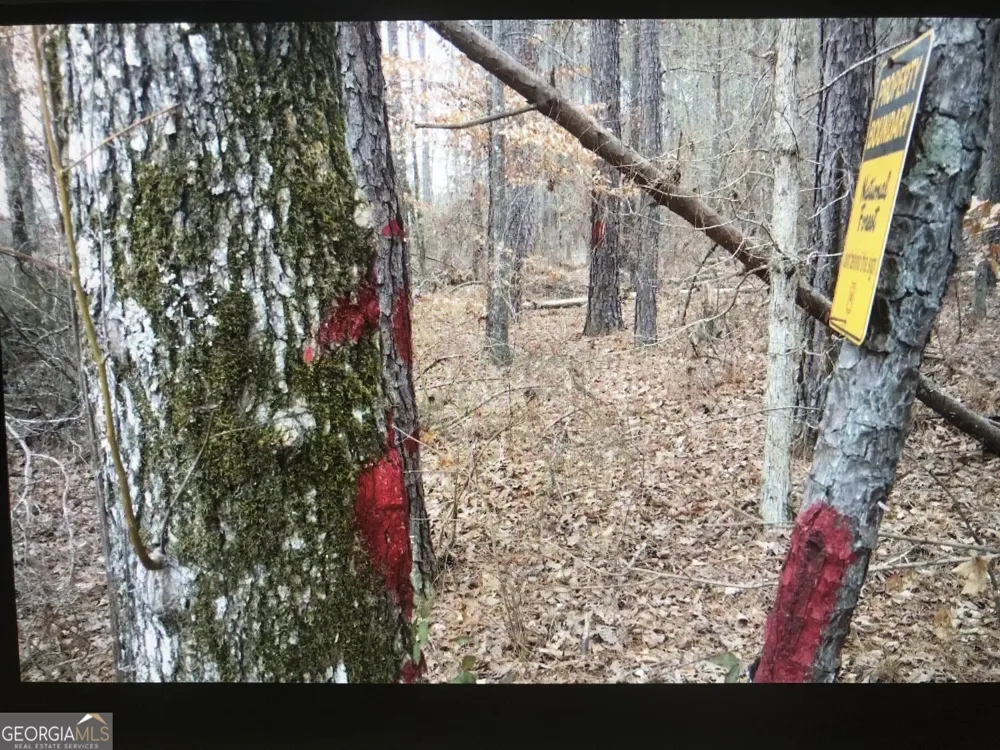 1860 Northwoods DR Greensboro, GA 30642