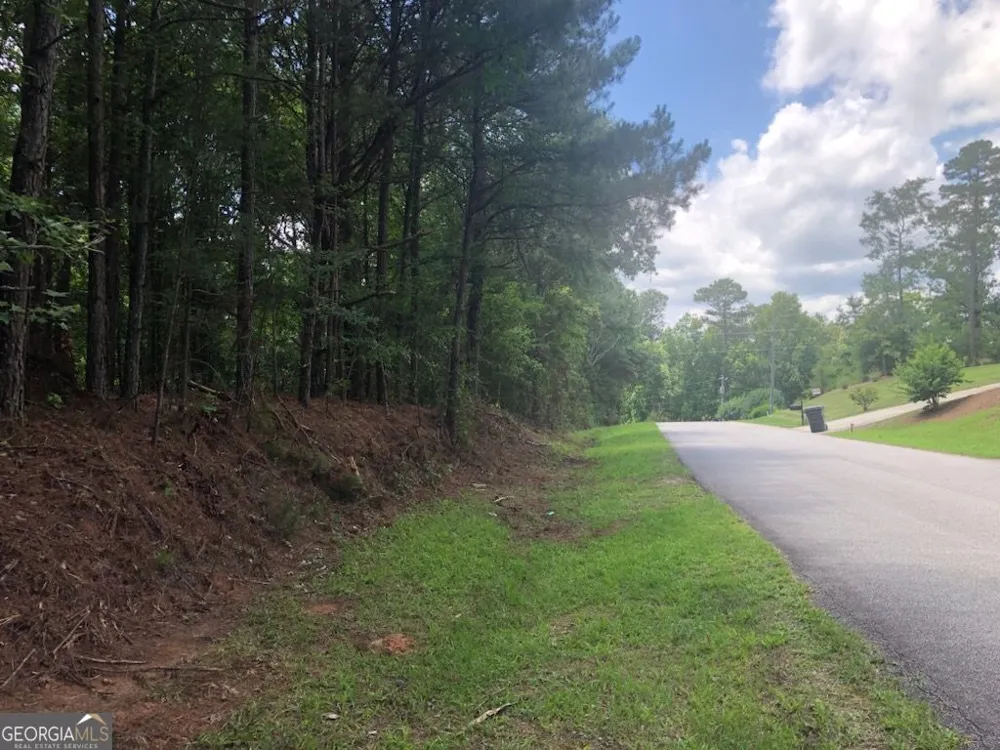 1860 Northwoods DR Greensboro, GA 30642
