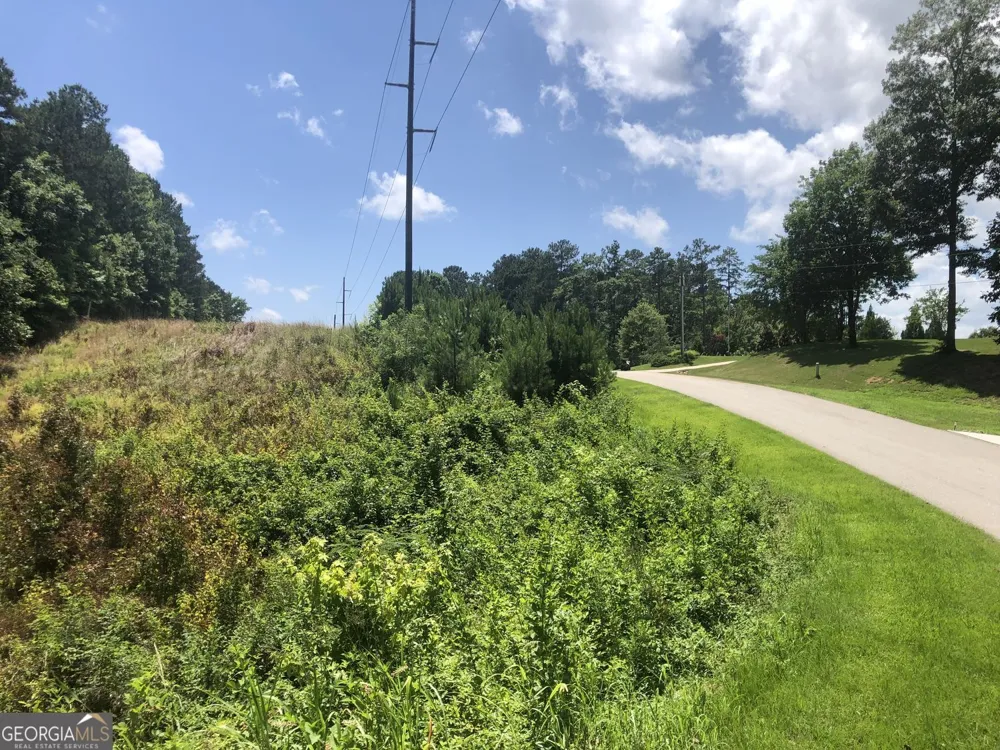 1860 Northwoods DR Greensboro, GA 30642