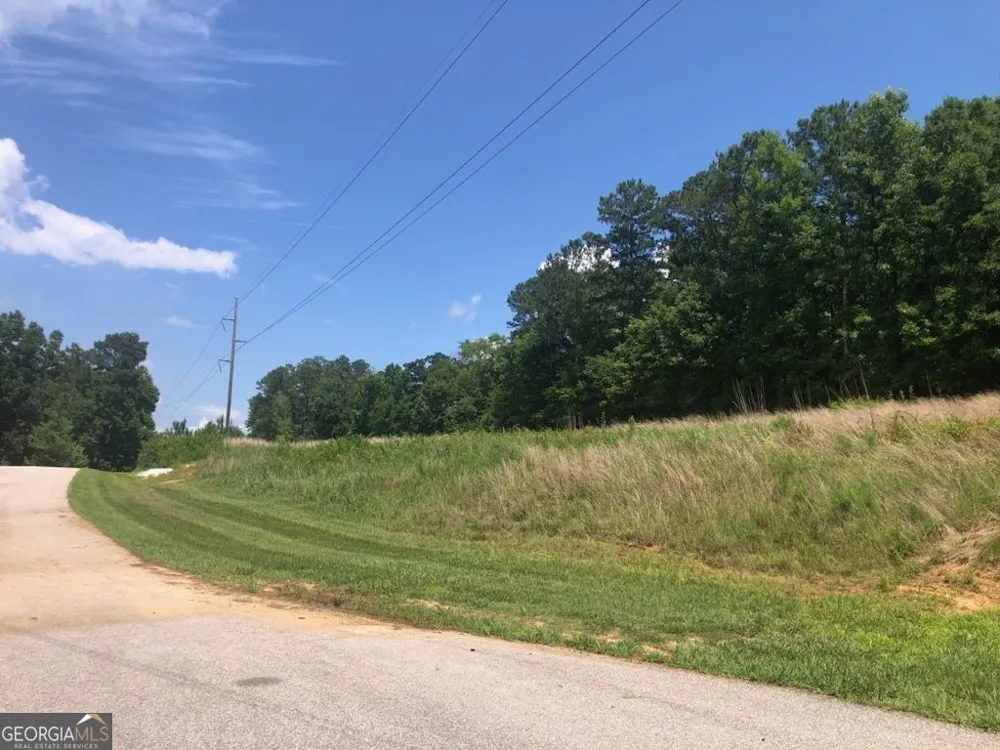 1860 Northwoods DR Greensboro, GA 30642