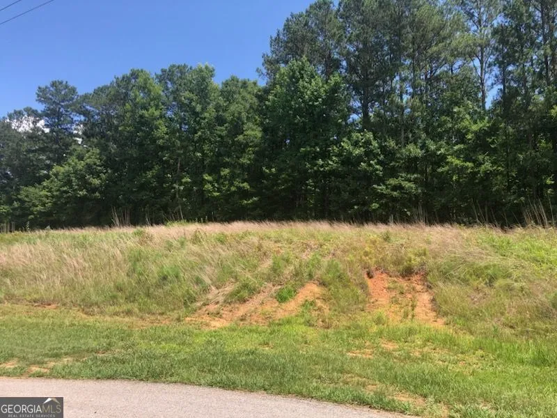 1860 Northwoods DR Greensboro, GA 30642