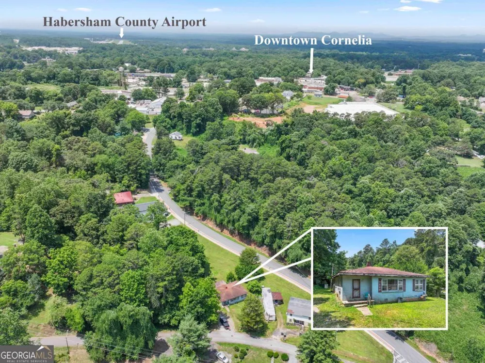 285 Carter ST Cornelia, GA 30531