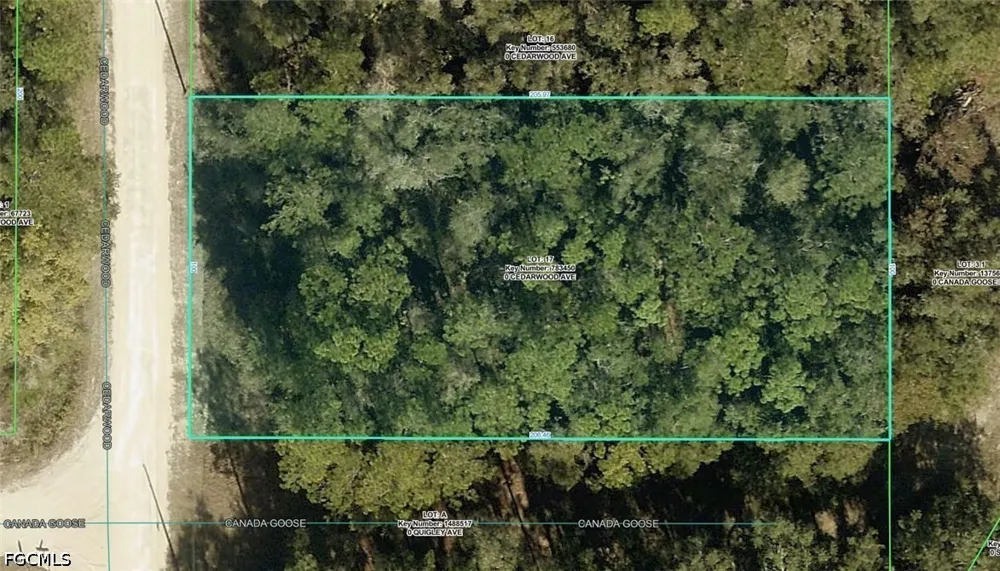 Cedarwood Avenue Weeki Wachee, FL 34614